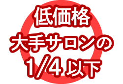 低価格　大手サロンの1/4以下