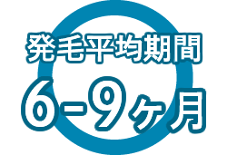 発毛平均期間　6-9ヶ月