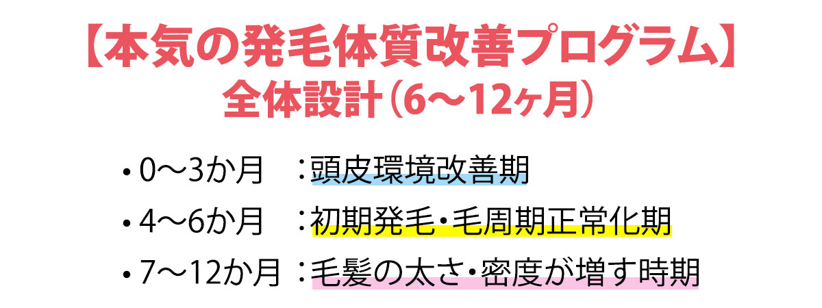 【本気の発毛体質改善プログラム】全体設計（6〜12ヶ月）
