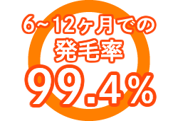 6～12ヶ月での発毛率99.4％