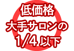 低価格　大手サロンの1/4以下