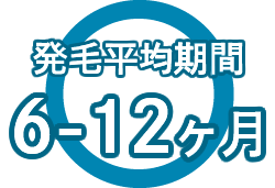 発毛平均期間　6-12ヶ月