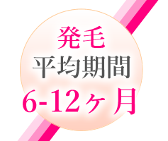 発毛平均期間 6-12ヶ月